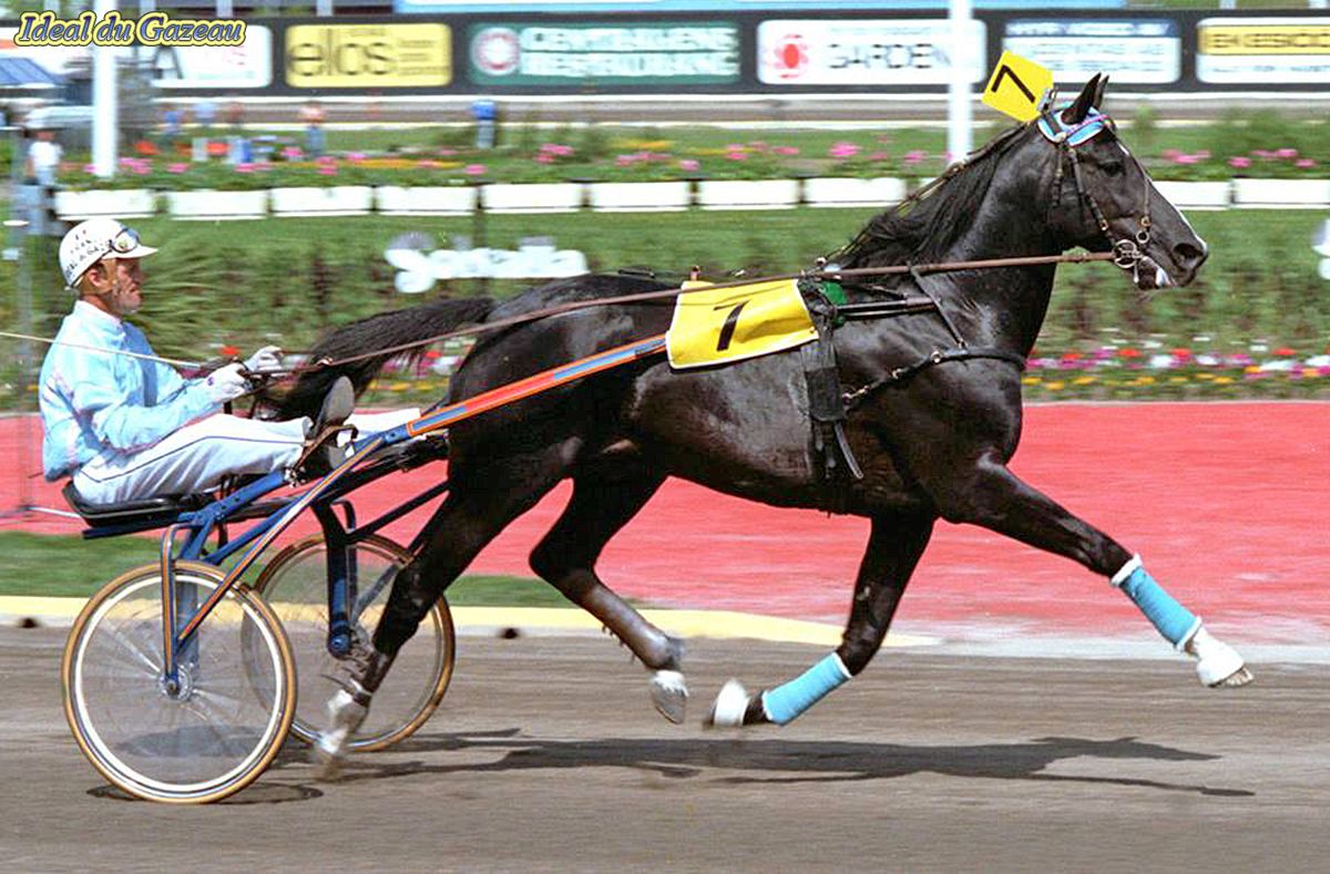 vente-additionnelle-ou-new-biz-les-ideal-du-gazeau-dans-cette-course